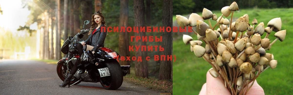 гашик Елабуга