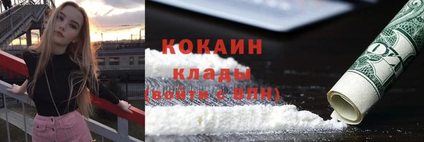 бошки Ельня