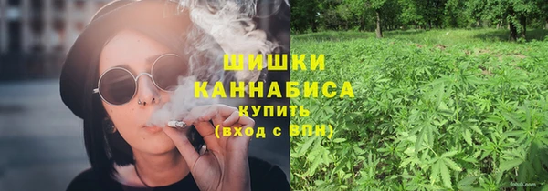 бошки Ельня