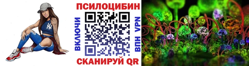 Псилоцибиновые грибы Psilocybine cubensis  где купить наркоту  Славгород 