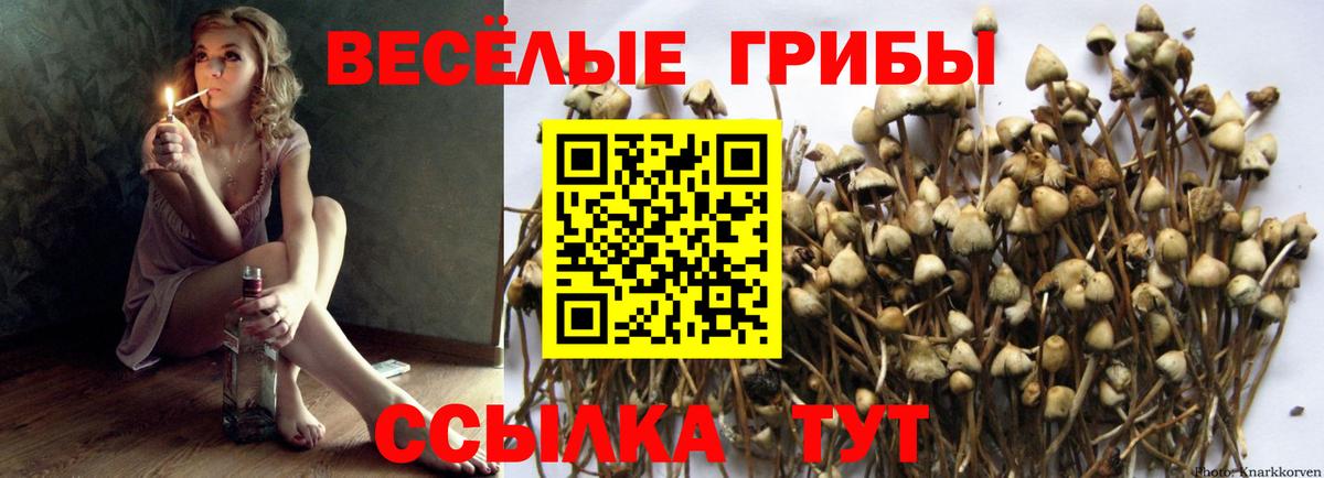 Псилоцибиновые грибы мицелий Славгород