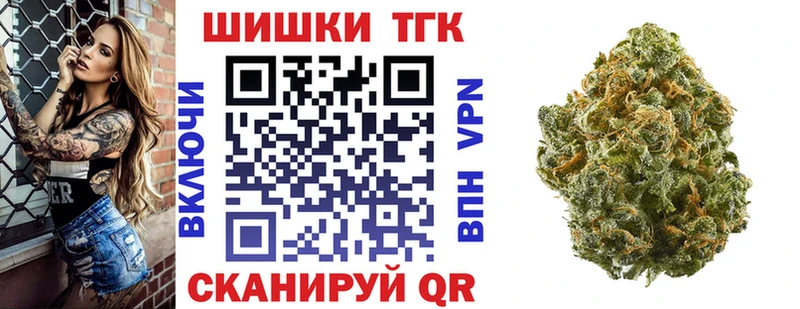 купить закладку  Славгород  Каннабис THC 21% 